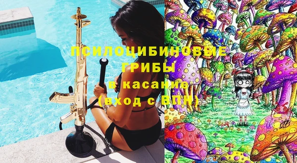 эйфоретик Баксан