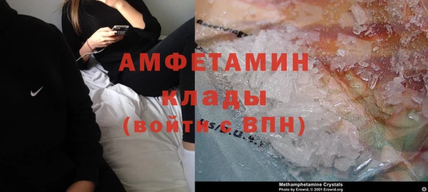 эйфоретик Баксан